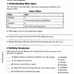31 Discovering Cell Function Worksheet Answers Notutahituq Worksheet