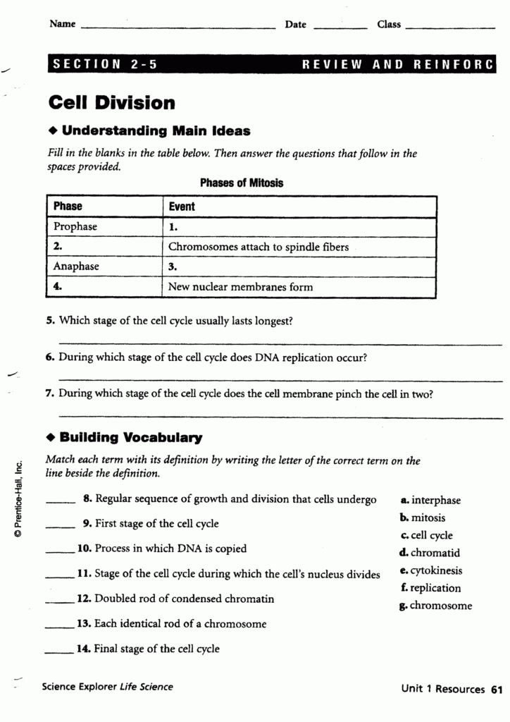 31 Discovering Cell Function Worksheet Answers Notutahituq Worksheet 