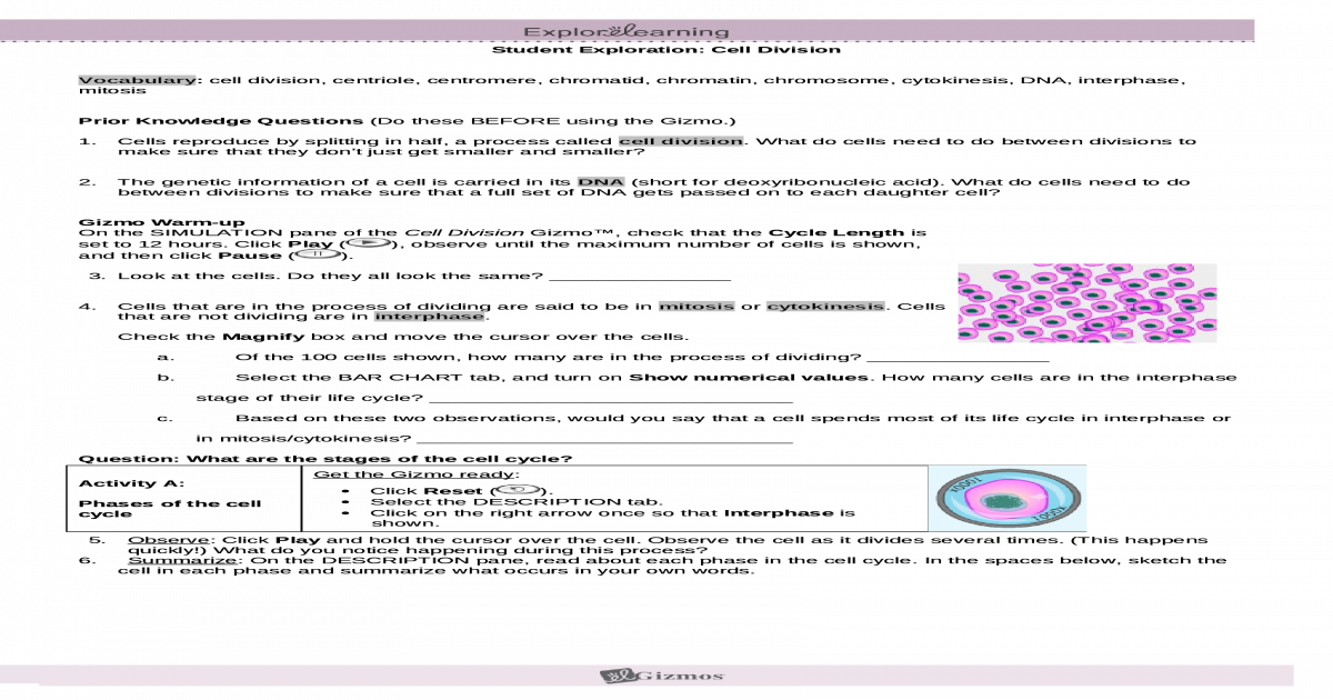 Answers For Cell Division Gizmo Islero Guide Answer For Assignment Answers For Cell Division Gizmo Islero Guide Answer For Assignment