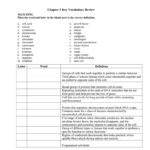 Biology Chapter 5 Key Vocabulary Worksheet