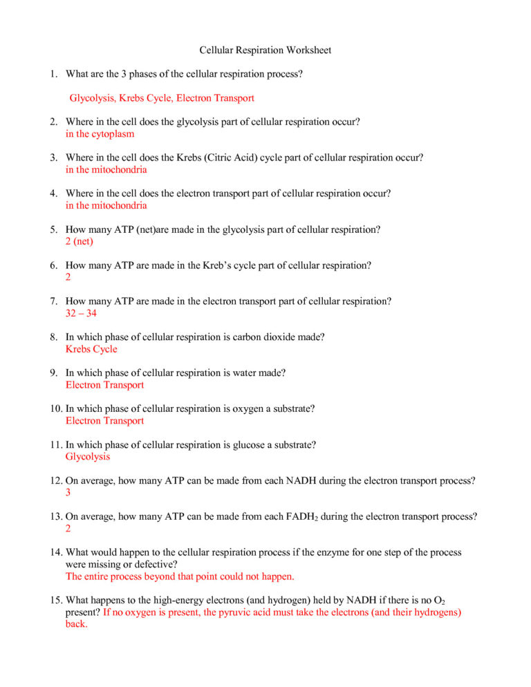Cell Cycle Student Worksheet Answer Key Mitosis Worksheet And Diagram 