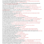 Chapter 4 Section 1 Federalism Powers Divided Worksheet Answer Key Db