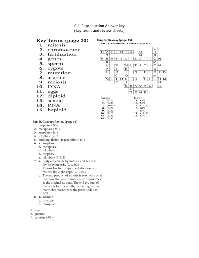 Chromosomes And Cell Reproduction Worksheet Answers Promotiontablecovers