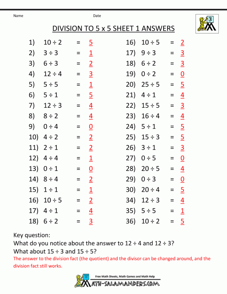 Printable Division Worksheets 3rd Grade