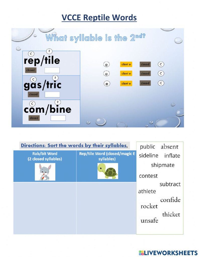 Syllable Division Practice Sheets For Vccv And Vc V Words Tpt Vccv 