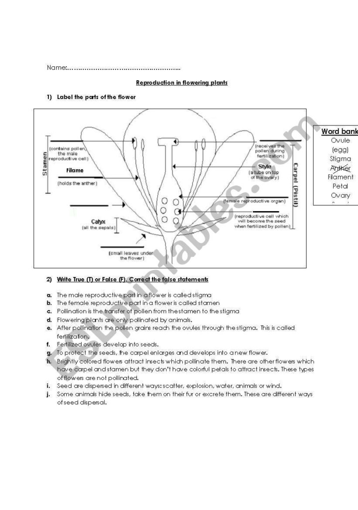 30 Macromolecules Worksheet Answer Key Education Template
