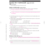 Cell Division Reading Comprehension Worksheet Mitosis And Meiosis