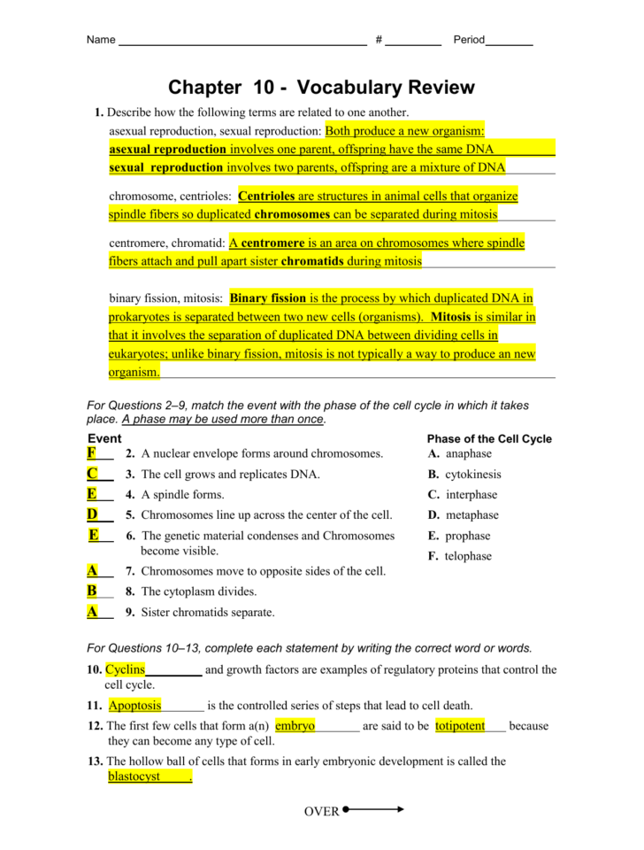 Chapter 10 Vocabulary Review Db excel