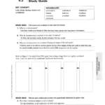 Chapter 9 Section 2 Mitosis And Cytokinesis Study Guide Study Poster