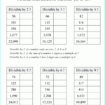 Divisibility Rules 5th Grade Worksheets