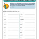 Divisibility Rules Worksheet