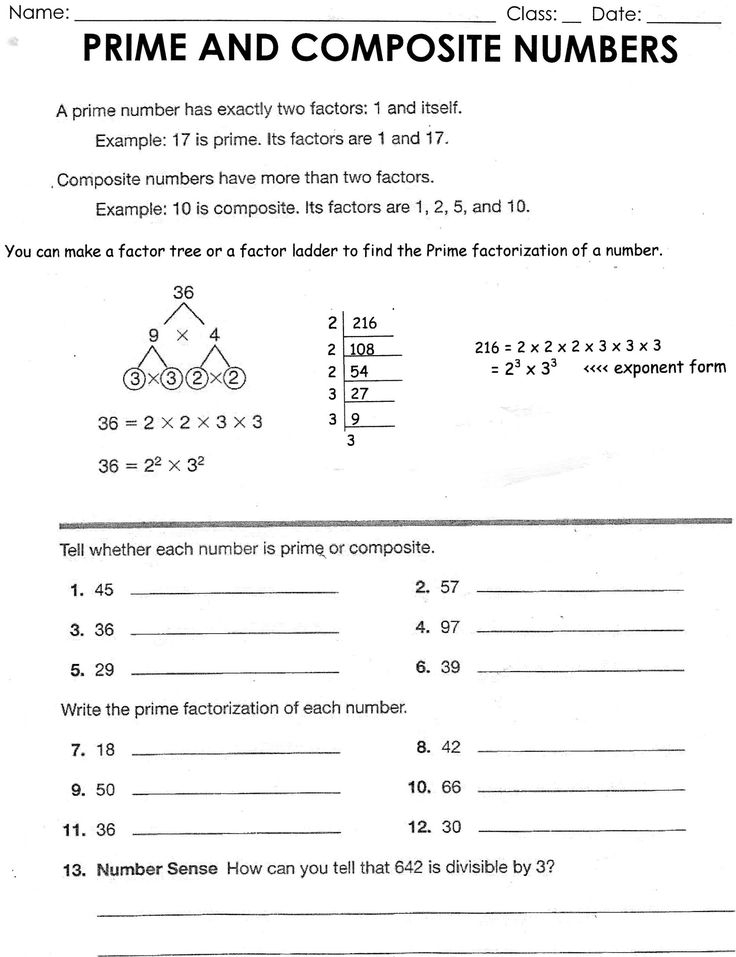 Divisibility Rules Worksheet 6th Grade Prime And Composite Numbers
