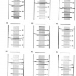 Graduated Cylinder Measurements Worksheets 99Worksheets