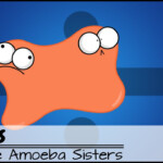 Mitosis The Amazing Cell Process That Uses Division To Multiply