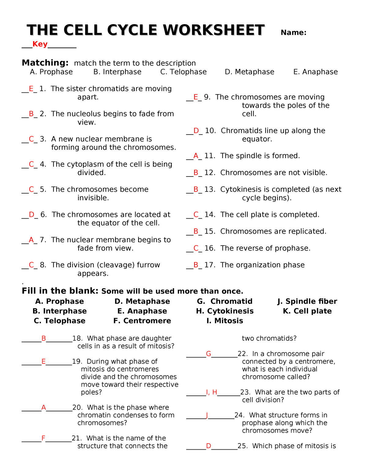 Thecellcycleworksheet With Answers Biog101 Db Excel Thecellcycleworksheet With Answers Biog101 Db excel
