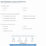 46 Cell Division Worksheet Answers Chessmuseum Template Library