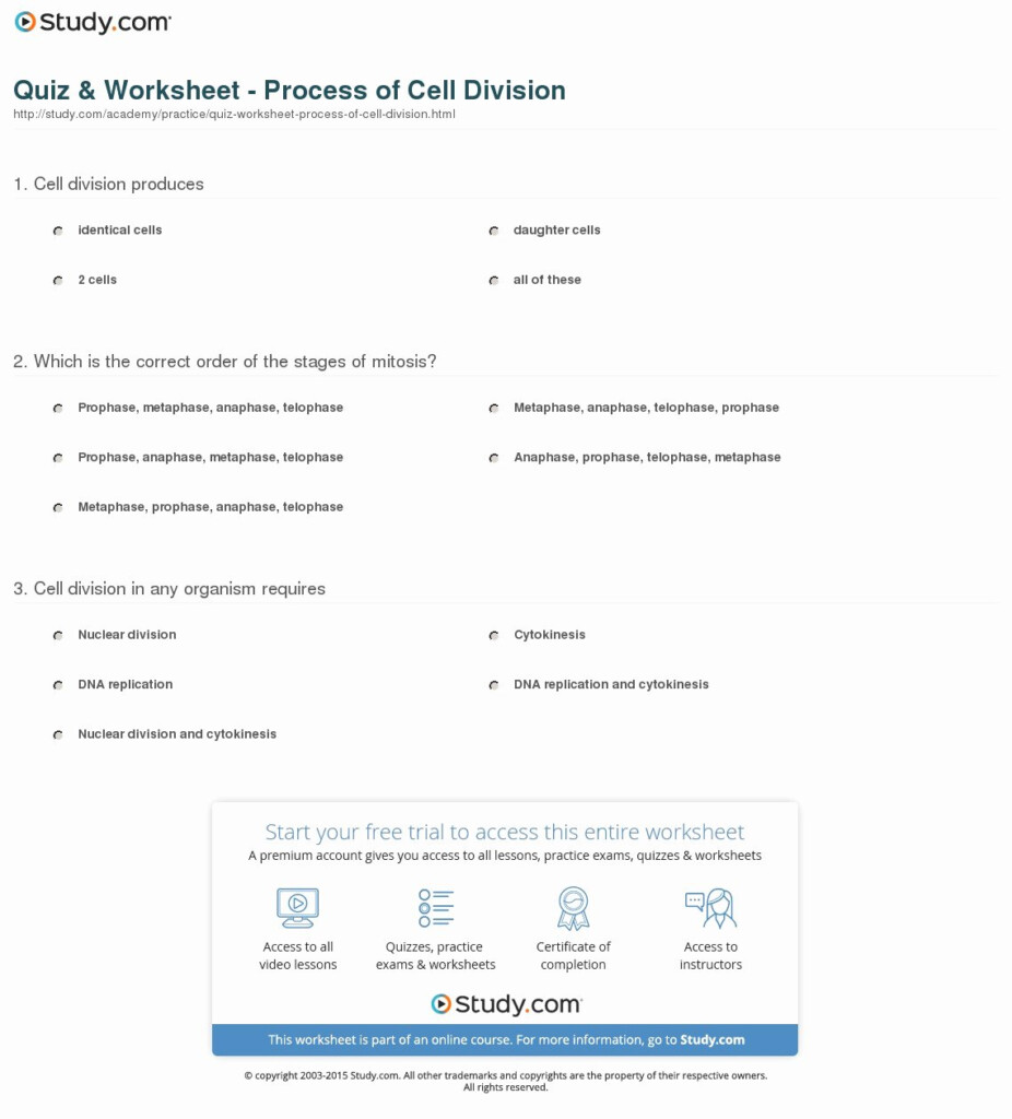 46 Cell Division Worksheet Answers Chessmuseum Template Library