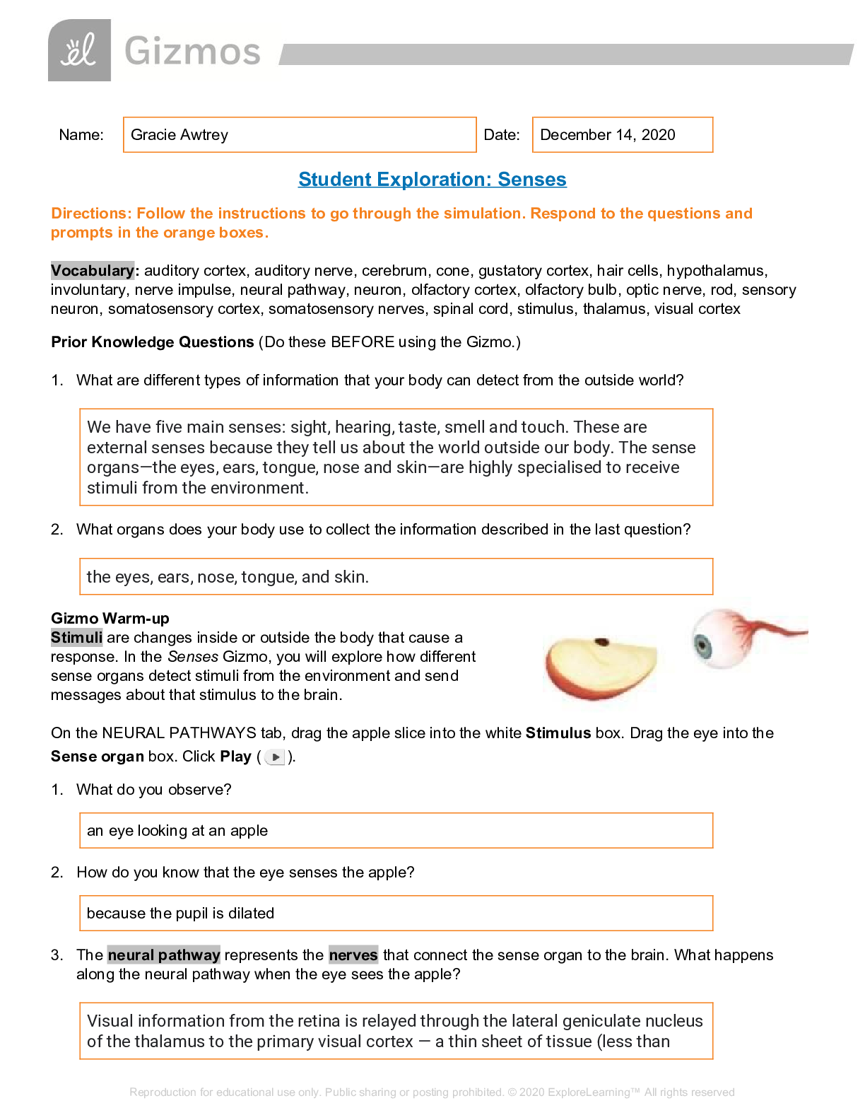 Cell Division Gizmo Answer Key Activity B Islero Guide Answer For Cell Division Gizmo Answer Key Activity B Islero Guide Answer For