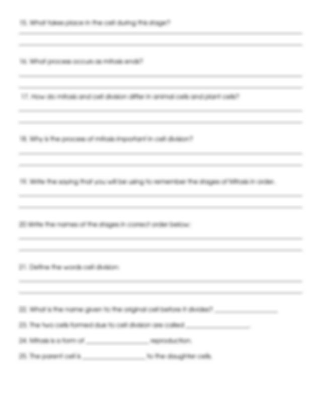 Cell Division Reinforcement Worksheet Doc CELLDIVISION REINFORCEMENT Cell Division Reinforcement Worksheet doc CELLDIVISION REINFORCEMENT