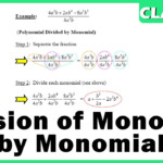Division Of Monomial By Monomial Algebric Expression Maths Class