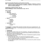 Holt Biology Cell Growth And Division Worksheet Answers Ivuyteq