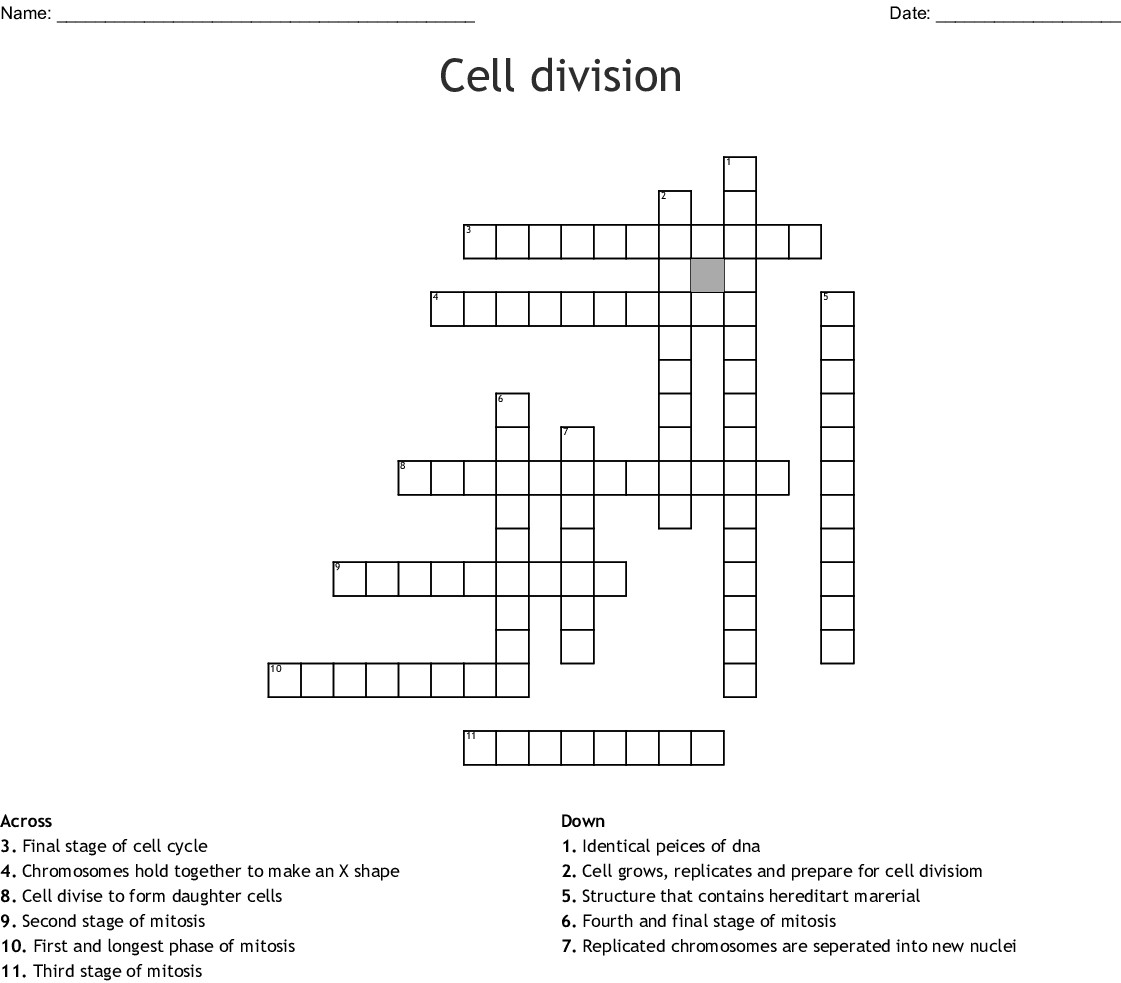 Mitosis Word Search WordMint Mitosis Word Search WordMint