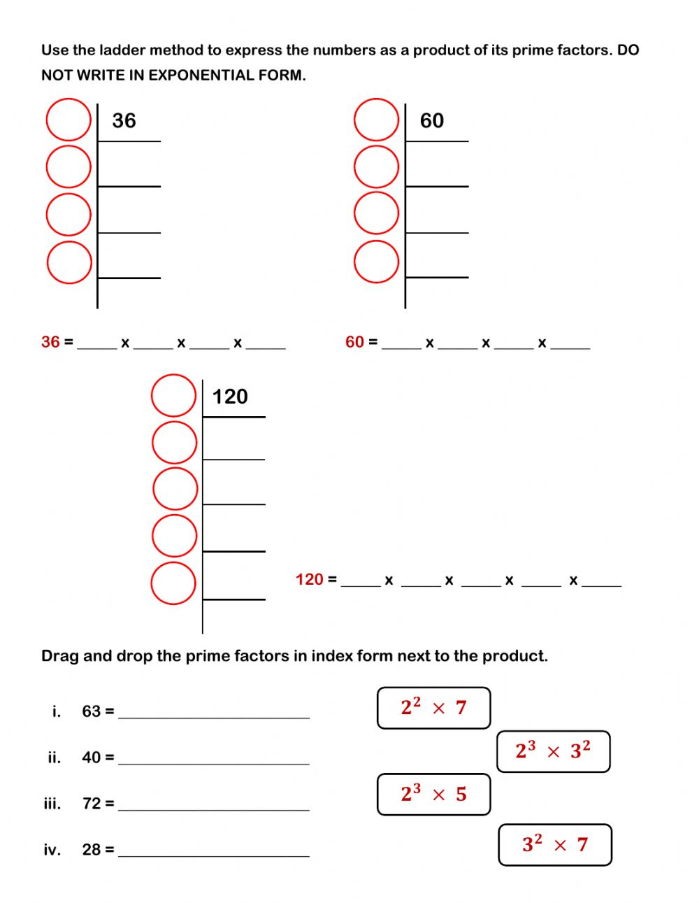 Prime Factorization Activity For 5 7 Prime Factorization Activity For 5 7