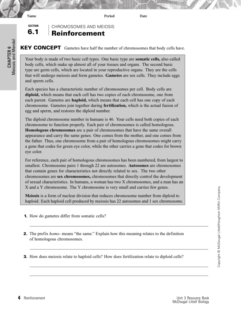 Section 1 Reinforcement Cell Division And Mitosis Worksheet Answers 