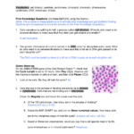 Student Exploration Half Life Gizmo Answer Key Activity A Findworksheets