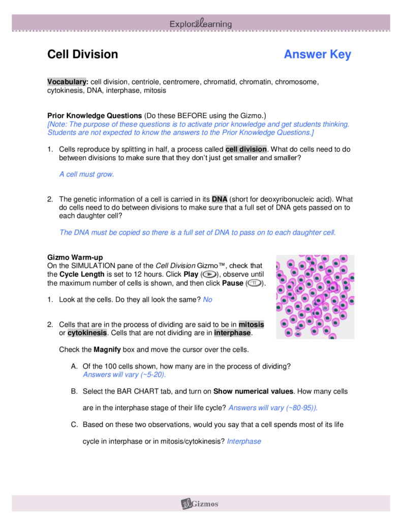 Student Exploration Half Life Gizmo Answer Key Activity A Findworksheets