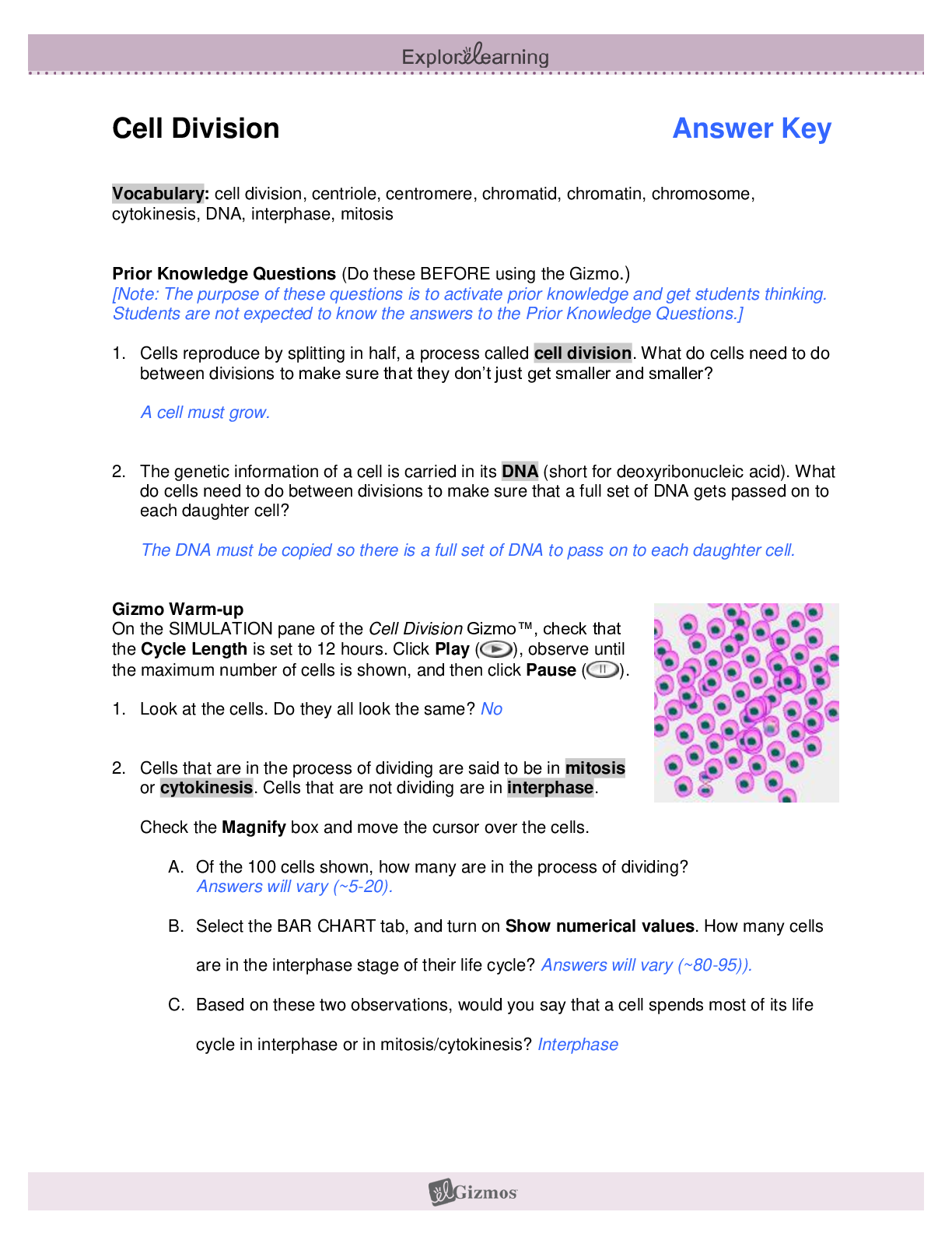 Student Exploration Half Life Gizmo Answer Key Activity A Findworksheets