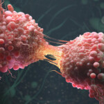 Cancer Cell Division By Farid Ghanbari 2019 Oncology