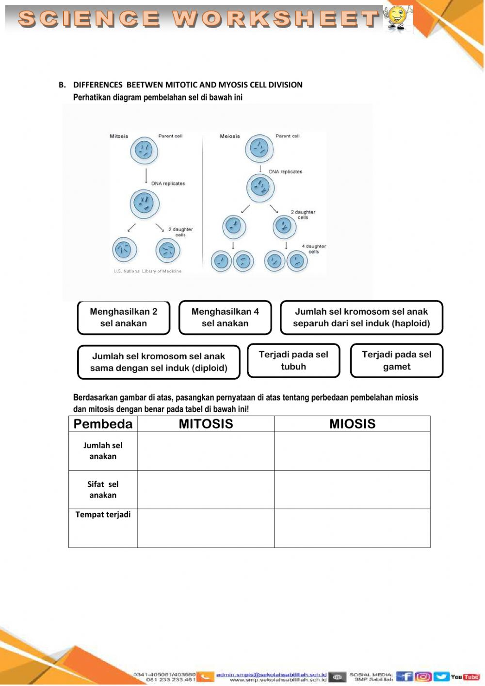 Cell Division Worksheet Decalinspire Cell Division Worksheet Decalinspire