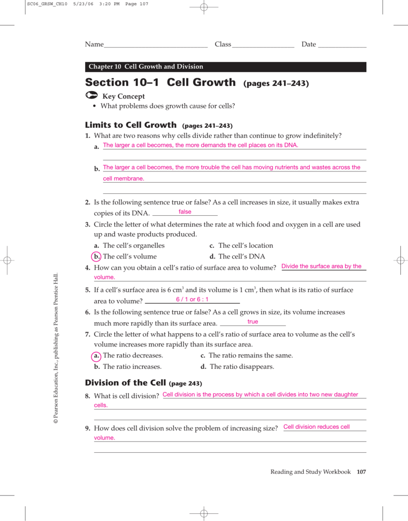 Cell Growth Division And Reproduction Worksheet Answers Martin Lindelof Cell Growth Division And Reproduction Worksheet Answers Martin Lindelof