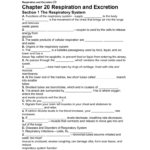 Copyright Glencoe McGraw Hill A Division Of The McGraw