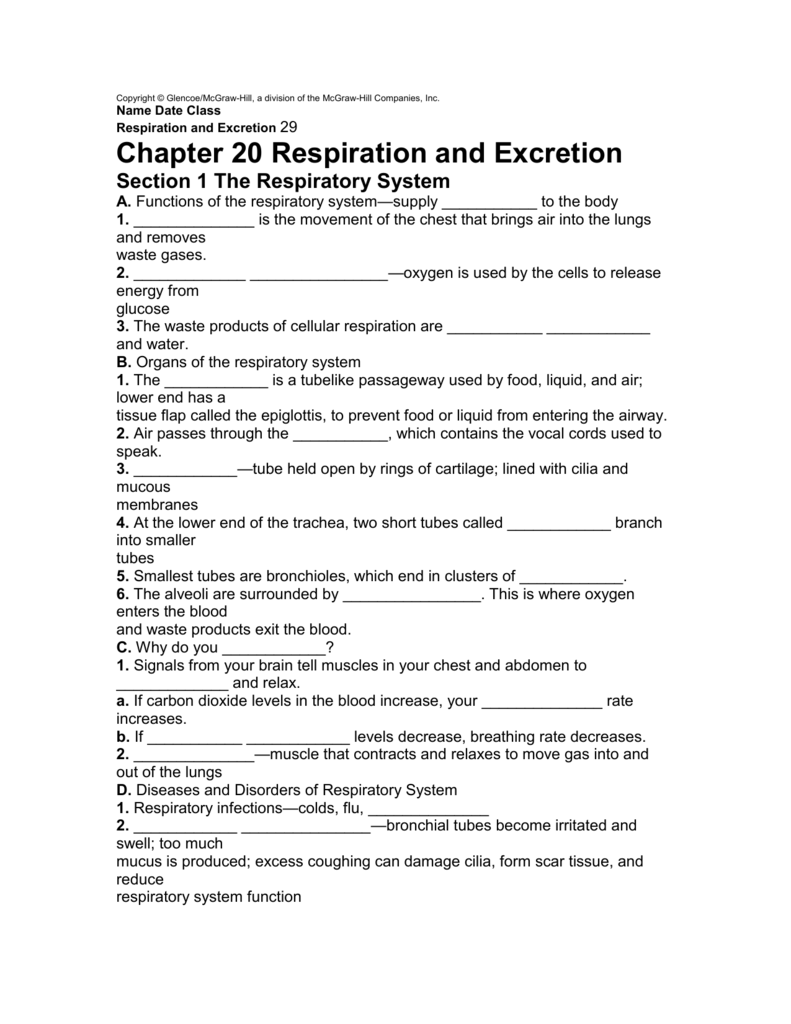 Copyright Glencoe McGraw Hill A Division Of The McGraw