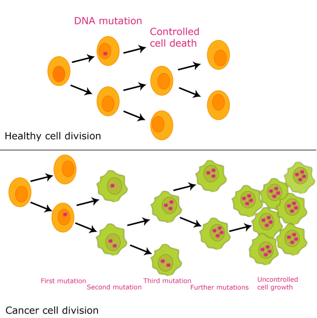 Nanotechnology Cell Division And Cancer