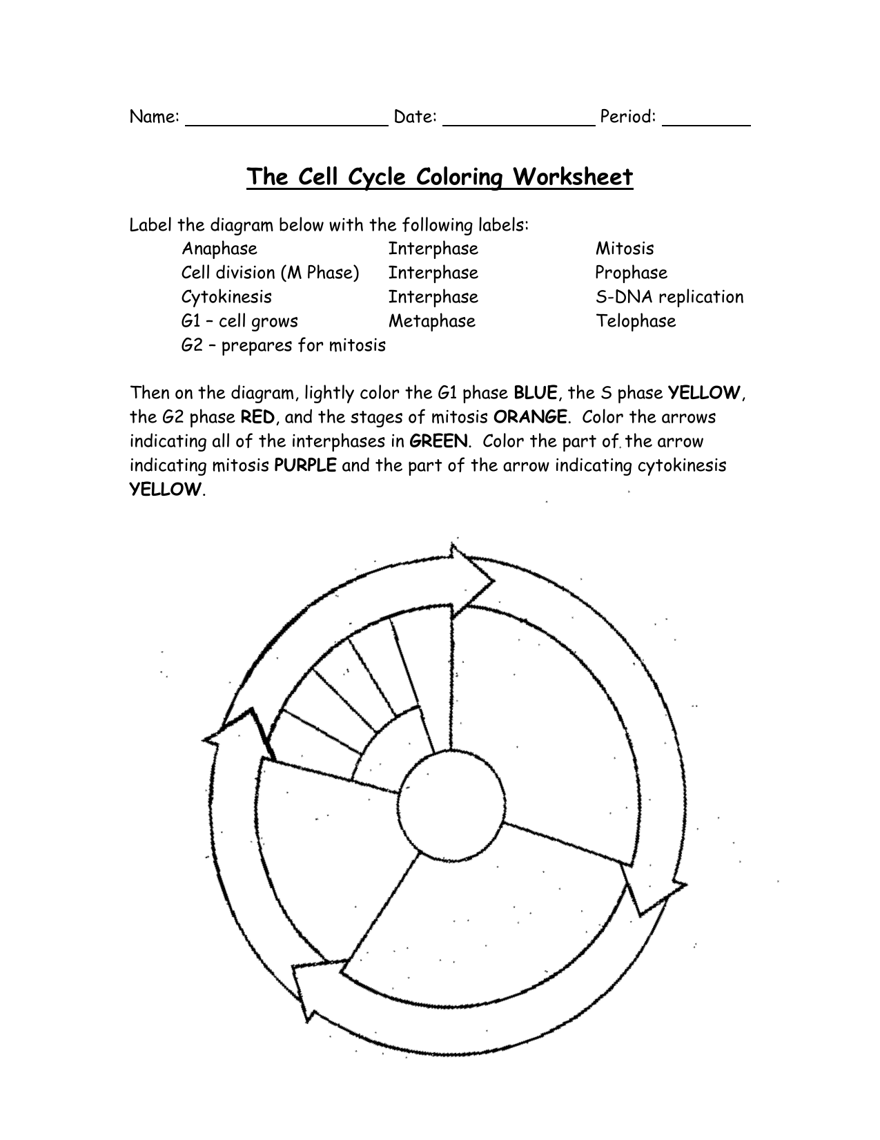 The Cell Cycle Coloring Worksheet Answers FREE Printable Worksheets The Cell Cycle Coloring Worksheet Answers FREE Printable Worksheets